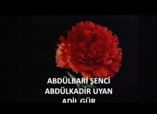 10 Ekim Barış Şehitlerimiz
