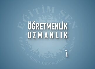 Öğretmenlik, Uzmanlık Mesleğidir