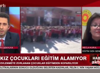 “Eğitim Öğretim Müfredatı, Cinsiyet Eşitliği Perspektifi Esas Alınarak Yeniden Düzenlenmeli”