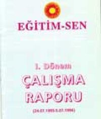 I. DÖNEM ÇALIŞMA RAPORU