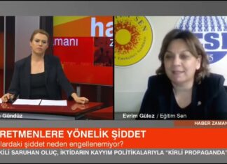 Eğitim ve Yükseköğretim Sekreterimiz Evrim Gülez, Eğitimcilere Yönelik Şiddetin Nedenlerini Değerlendirdi