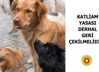 Katliam Yasası Derhal Geri Çekilmelidir!
