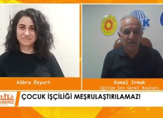 Eğitim Sen Genel Başkanı Irmak, Okul Terklerinin Artmasına Neden Olan MESEM’lerin Kapatılmasını İstedi