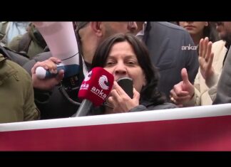 Eğitim Sen Yükseköğretim ve Eğitim Sekreteri Evrim Gülez: “Kamusal Eğitim Yok Ediliyor”